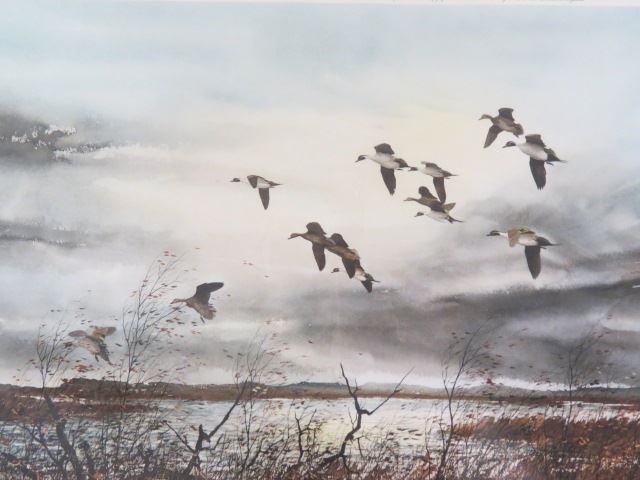 Appraisal: David Hagerbaumer lithograph Mallardsin Flight image area X pencil signed