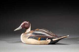 Appraisal: Rare Pintail Drake by Otto H Questch Rare Pintail DrakeOtto