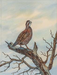 Appraisal: William J Schaldach - Quail on a Branch signed Wm