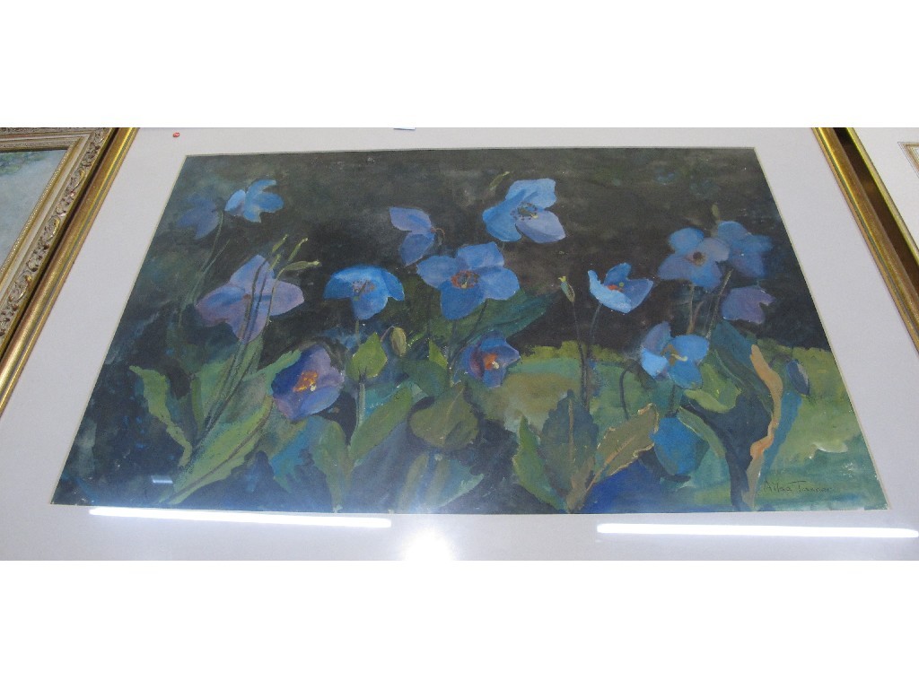 Appraisal: AILSA TANNER Watercolour 'Blue Poppies' signed recto and labelled verso