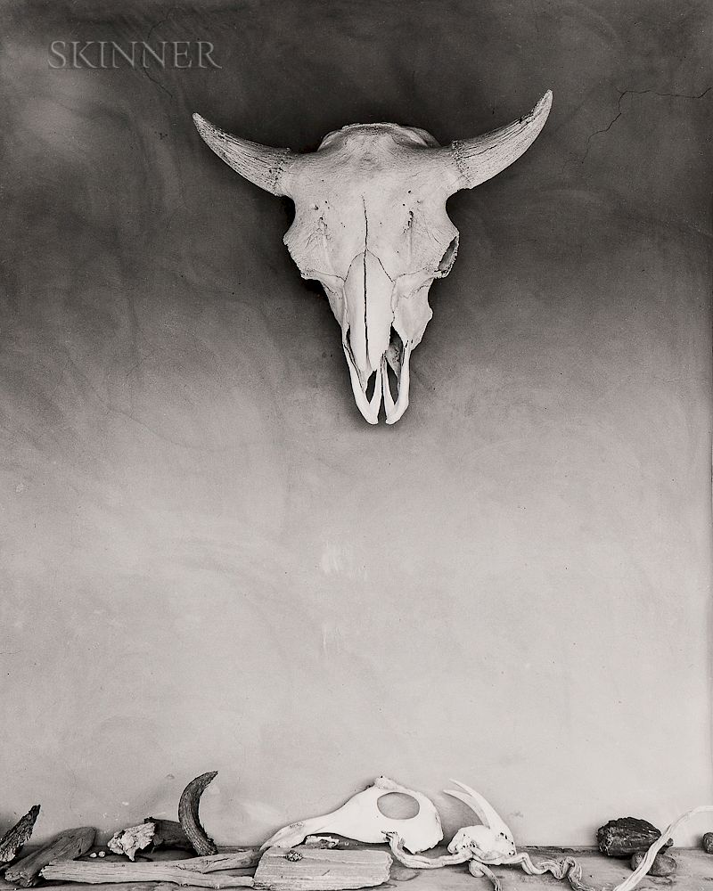 Appraisal: Todd Webb American - Cow Skull and Bones on Portal