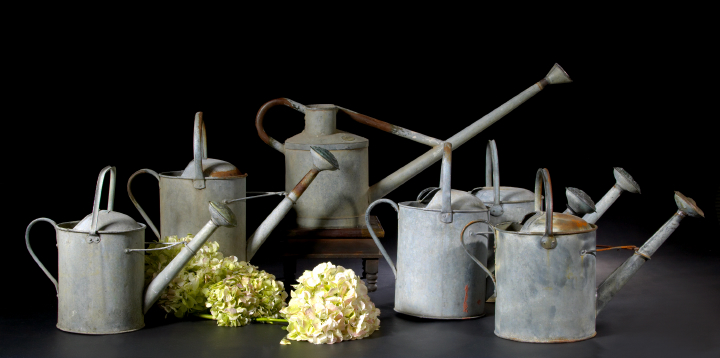 Appraisal: Collection of Six English Galvanized Metal Gardener's Watering Cans second