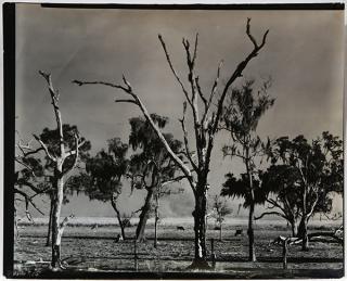 Appraisal: Photograph Walker Evans Walker Evans American - Landscape Gulf Coast