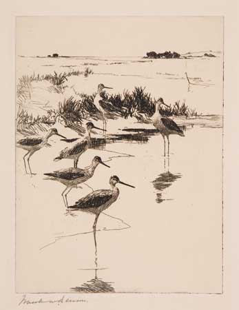 Appraisal: FRANK W BENSON Yellowlegs No Drypoint x mm x inches