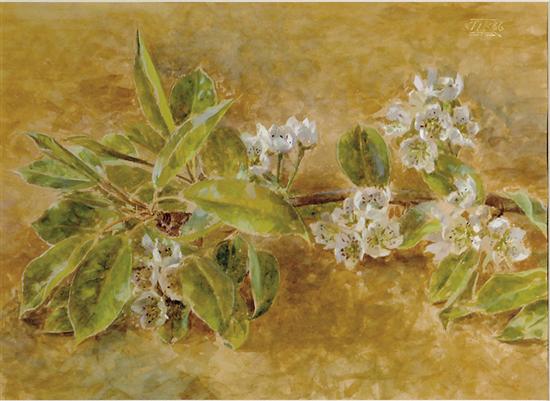 Appraisal: Jacqueline L Rizvi British th century BLOSSOMING PEAR SPRIGwatercolor framed