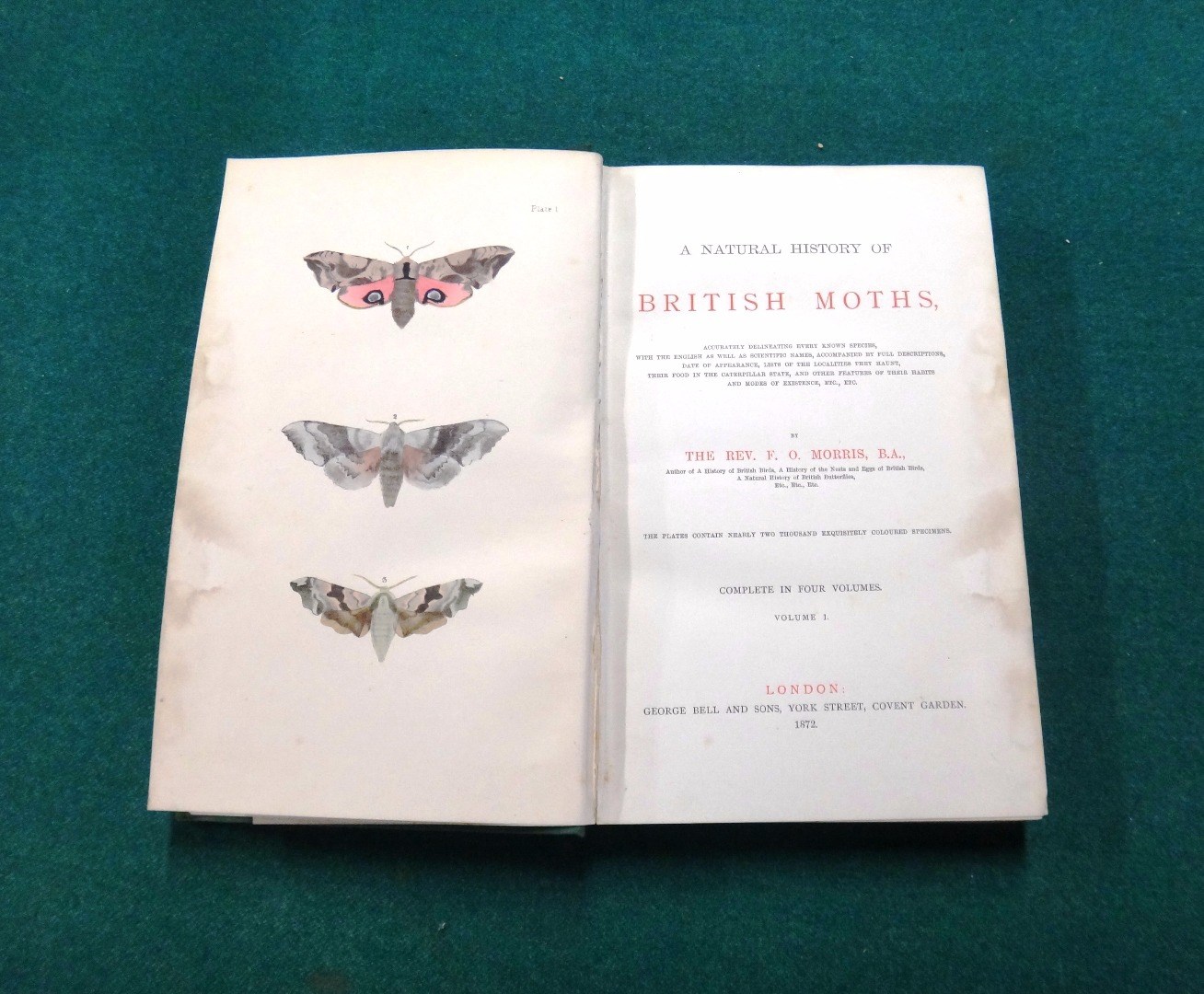 Appraisal: MORRIS Rev F O A Natural History of British Moths