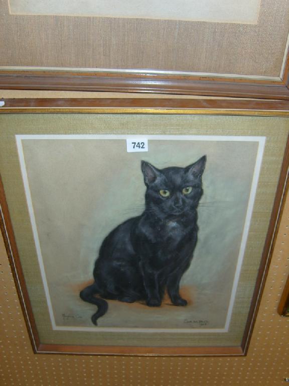 Appraisal: A pastel portrait of Sambo a black half Siamese cat