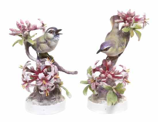 Appraisal: A Pair of Royal Worcester Dorothy Doughty Birds Red Eyed