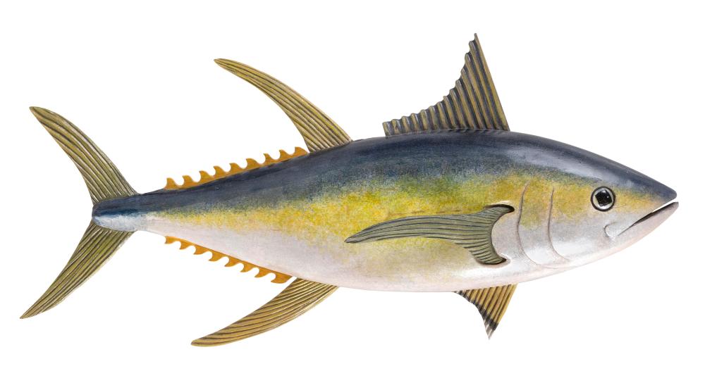 Appraisal: JUNE NOLL CARVED AND PAINTED WOODEN TUNA BREWSTER MASSACHUSETTS CONTEMPORARY