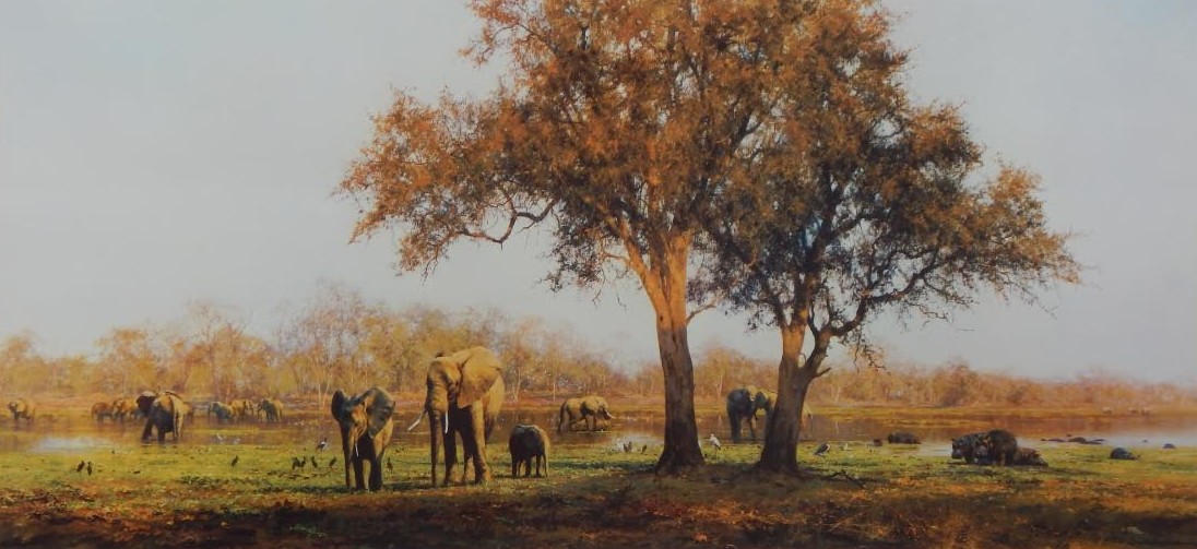 Appraisal: David Shepherd b Luangwa Evening artist signed limited edition coloured