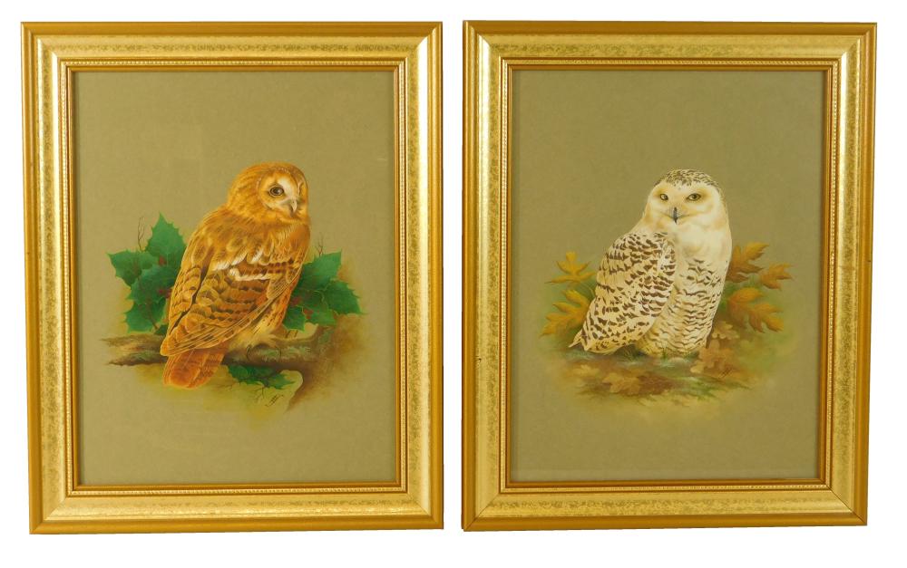 Appraisal: Two framed owl studies gouache on paper unsigned one of