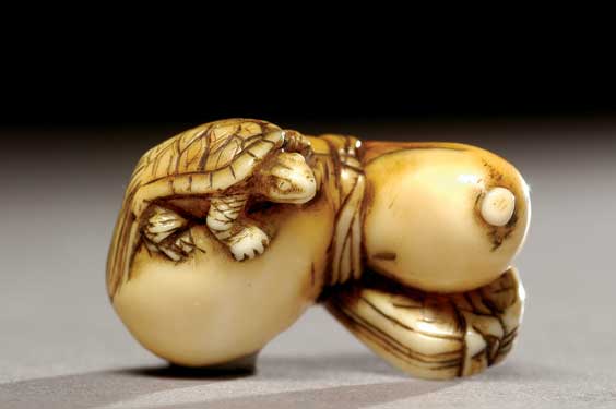 Appraisal: ANTIQUE IVORY NETSUKE Antique carved ivory netsuke of a sea-bream