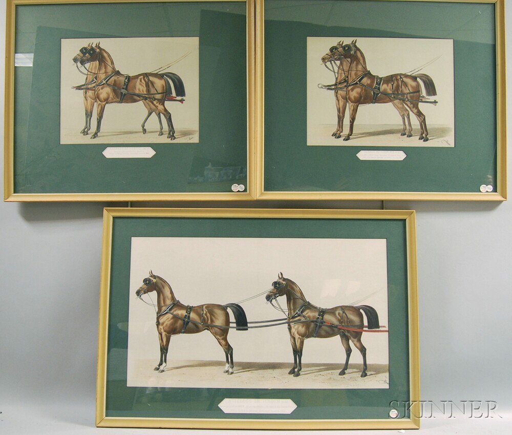 Appraisal: Three French Equestrian Lithographs from Le Guide du Carrossier Harnais