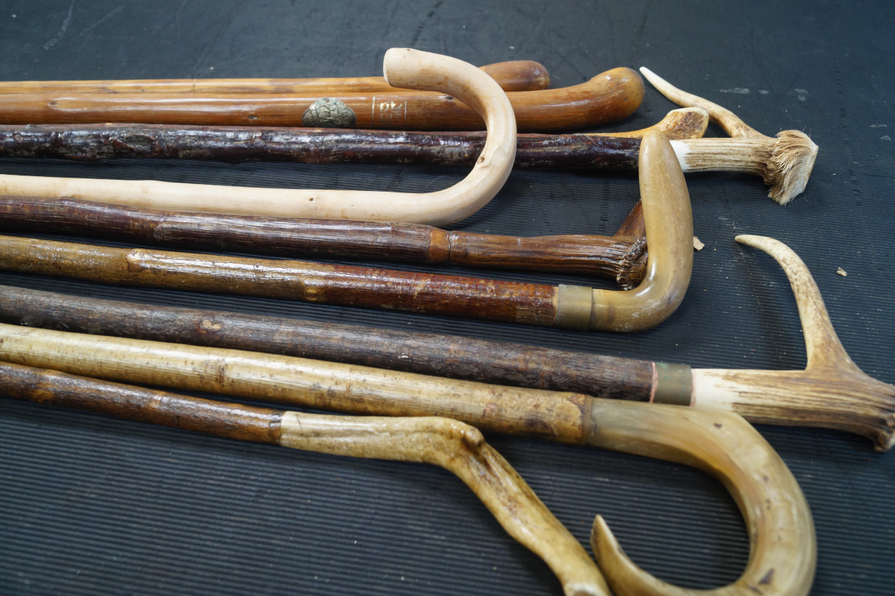 Appraisal: Ten walking sticks comprising seven with horn or antler handles