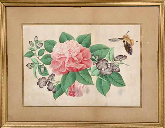 Appraisal: Chinese Export botanical paintings th century TWO WORKS PEONY AND