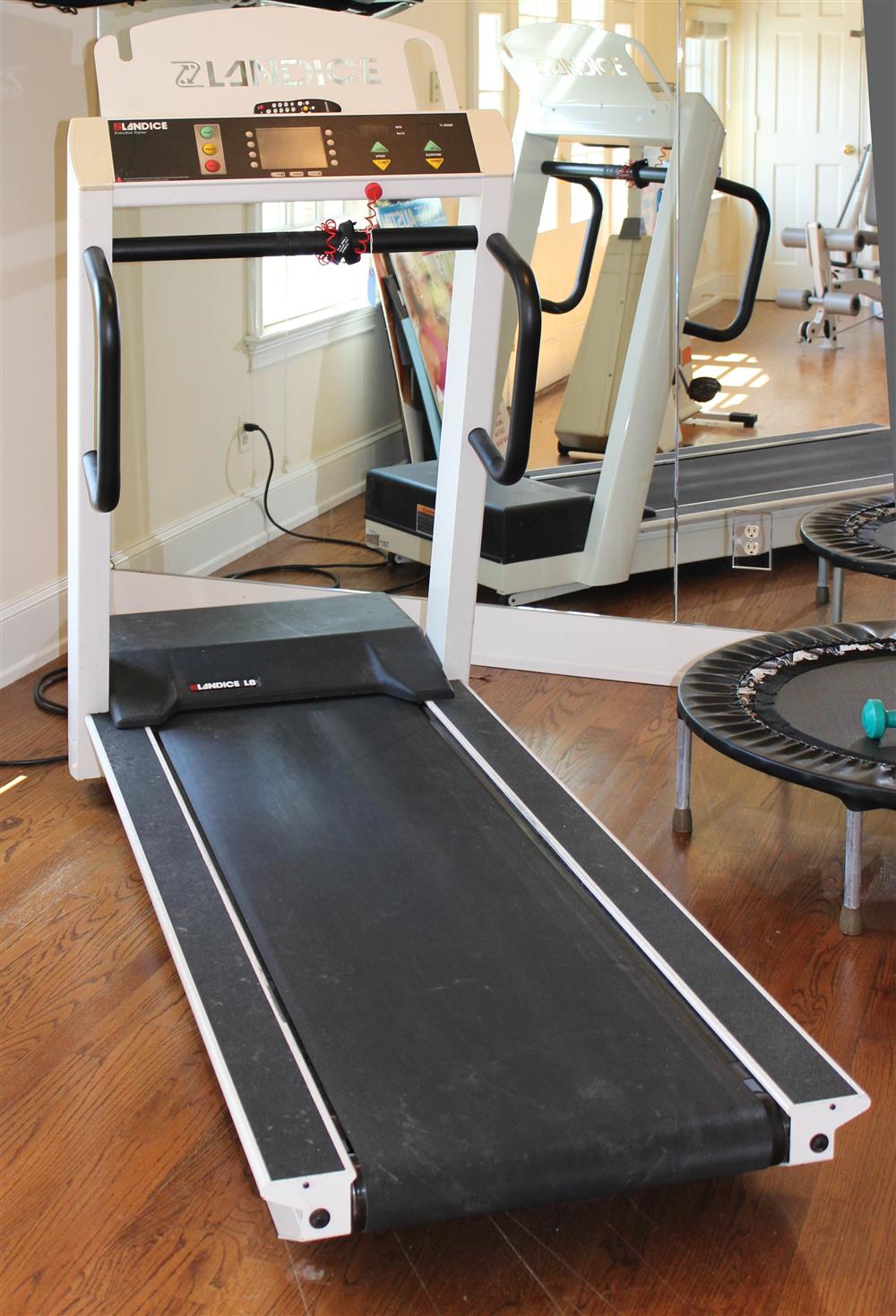 Appraisal: DENISE AUSTIN'S LANDICE EXECUTIVE TRAINER L TREADMILL from her home