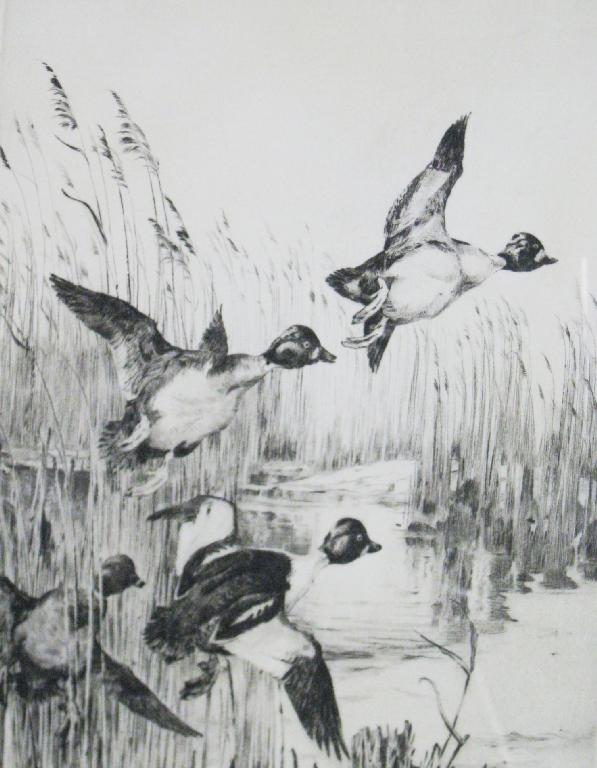 Appraisal: WINIFRED AUSTEN R I R E - Goldeneye Rising original