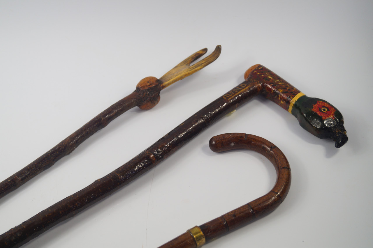 Appraisal: Seven walking sticks including one with a carved pheasant's head