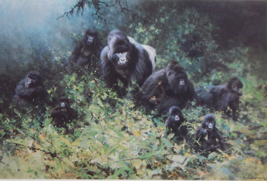 Appraisal: David Shepherd b The Mountain Gorillas of Rwanda artist signed