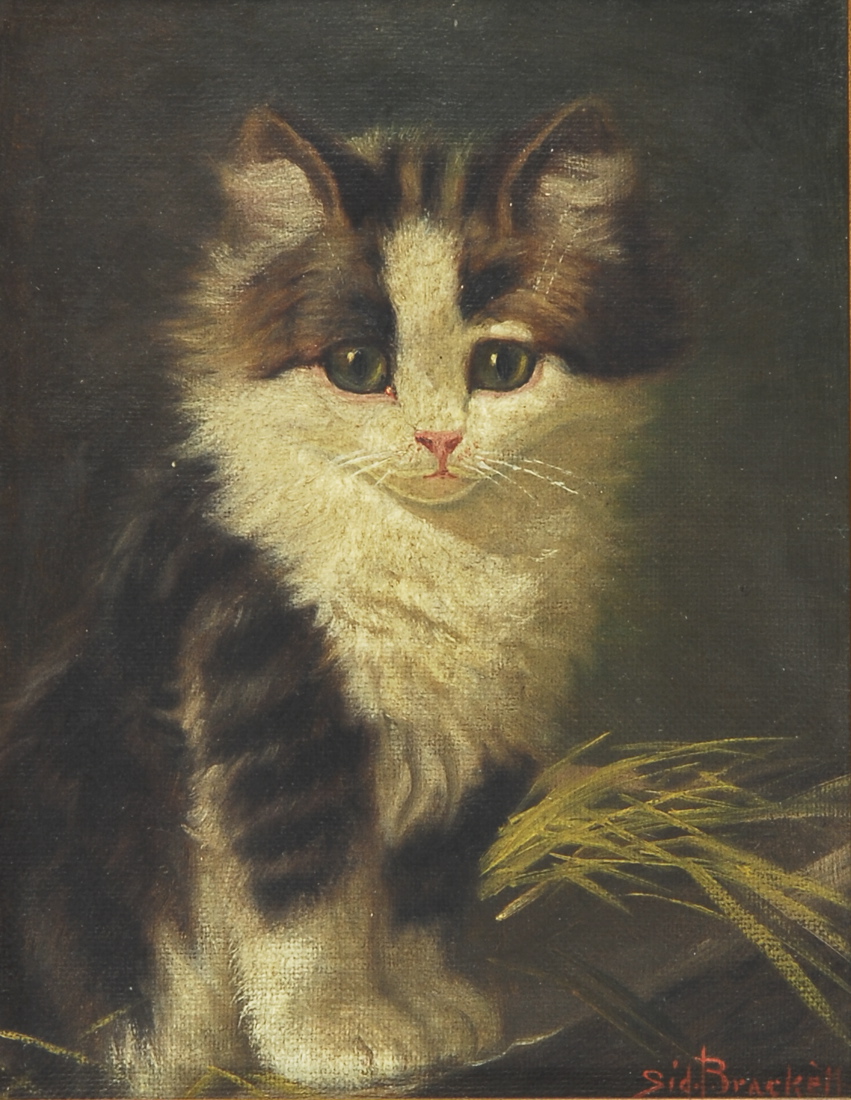 Appraisal: SIDNEY LAWRENCE BRACKETTAmerican - Portrait of a kitten Signed lower