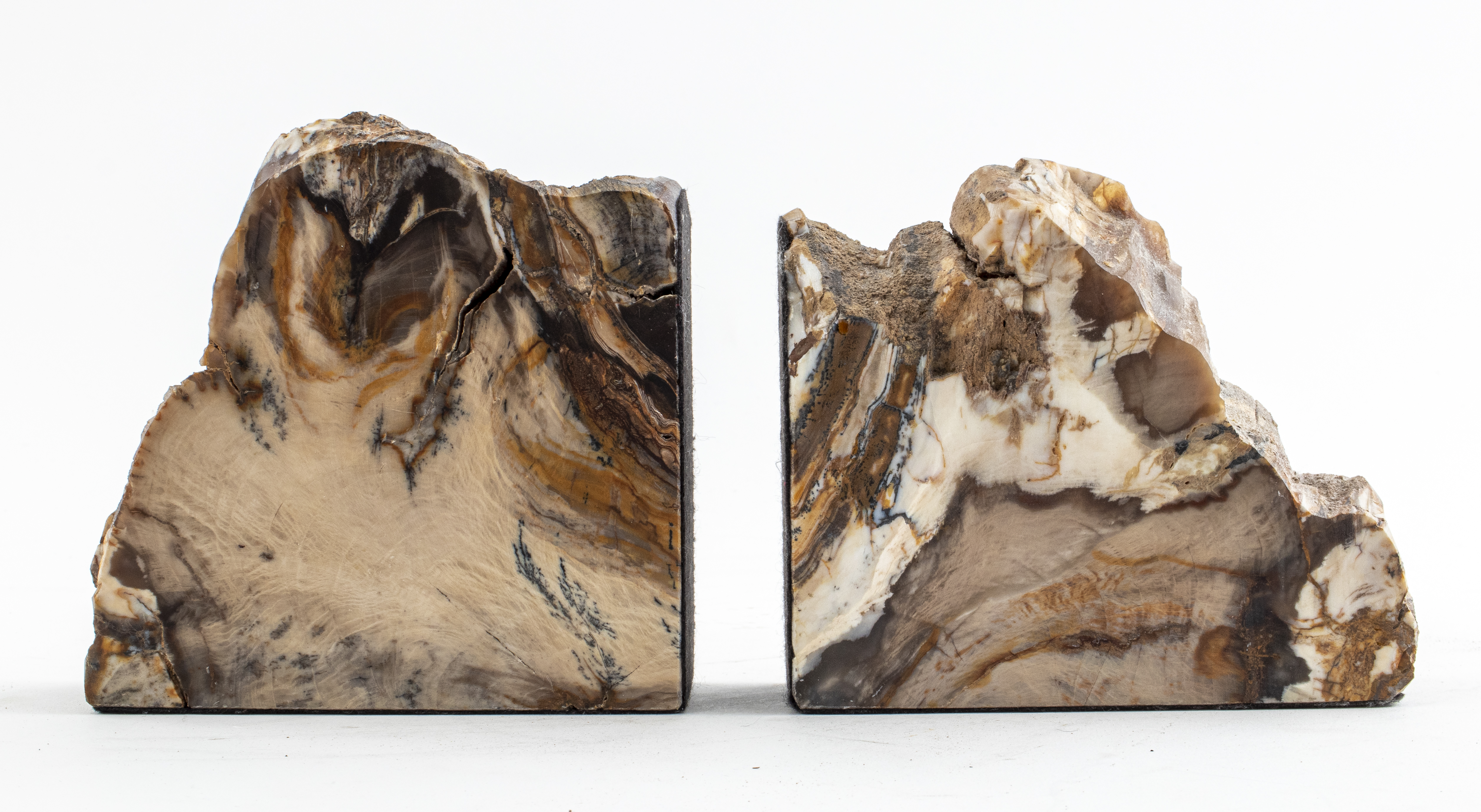 Appraisal: SPECIMEN BOOKENDS IN PETRIFIED WOOD Modern pair of specimen bookends