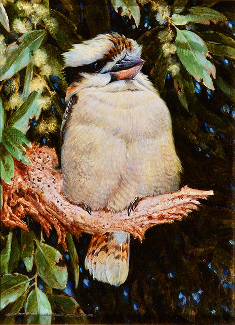 Appraisal: DAVID ORD KERR b KOOKABURRA - oil on board signed