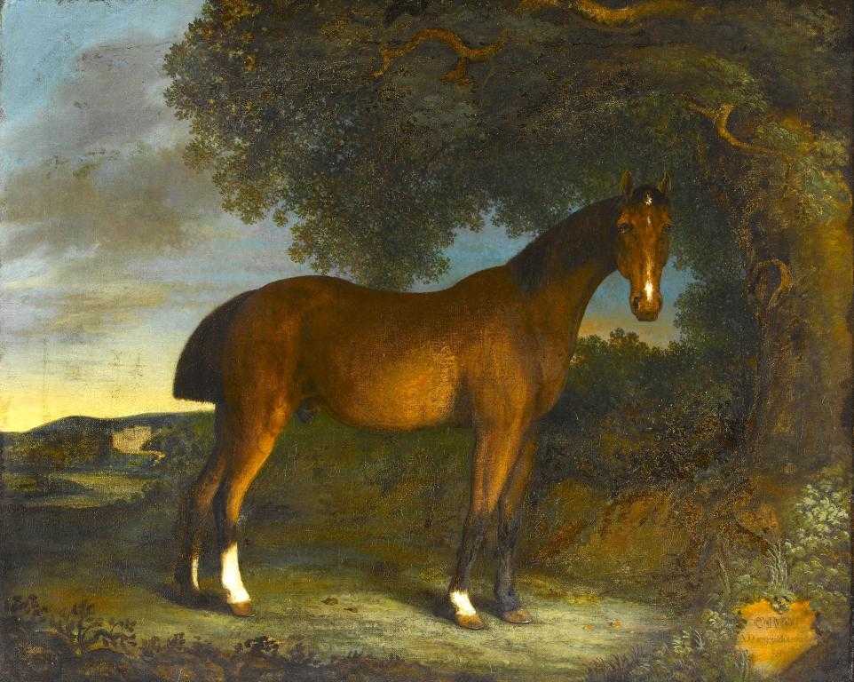 Appraisal: ENGLISH EQUESTRIAN ARTIST PORTRAIT OF THE BAY STALLION CROP BENEATH