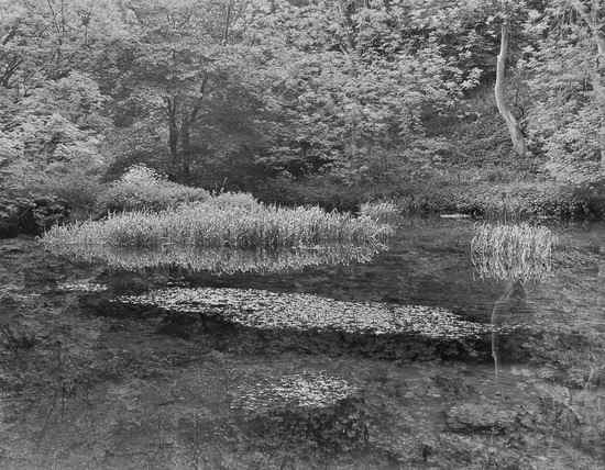 Appraisal: John Blakemore b Lathkill Dale Derbyshire from 'Lila' Selenium toned