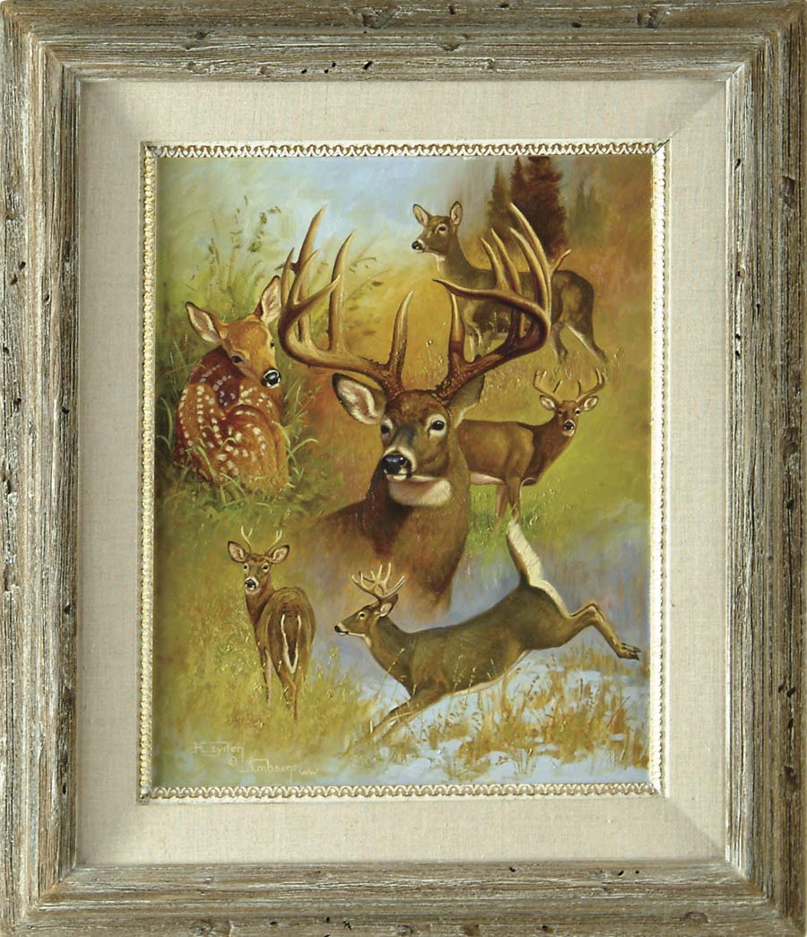 Appraisal: FRAMED OIL ON BOARD PAINTING OF WHITETAIL DEER Fine painting