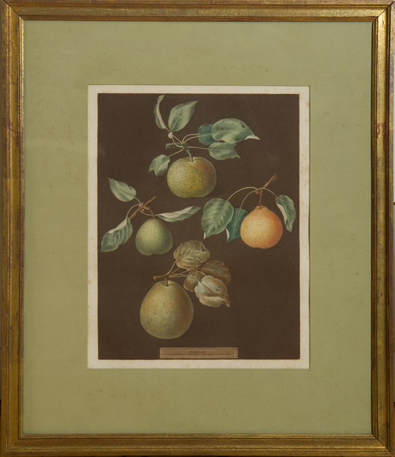 Appraisal: GEORGE BROOKSHAW - PLATE LXXX PLATE XVI PLATE LXXVI AND