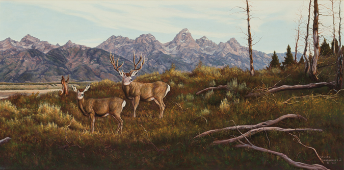 Appraisal: MANUEL MANSANAREZ JR American b Mule Deer oil on canvas