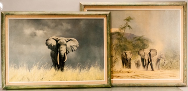 Appraisal: Two Framed Prints of Elephants by David Shepherd H x