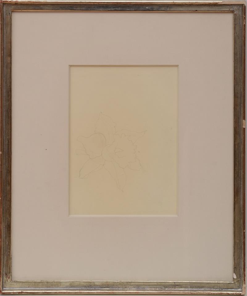 Appraisal: CHARLES DEMUTH - FLOWER Pencil on paper with labels from