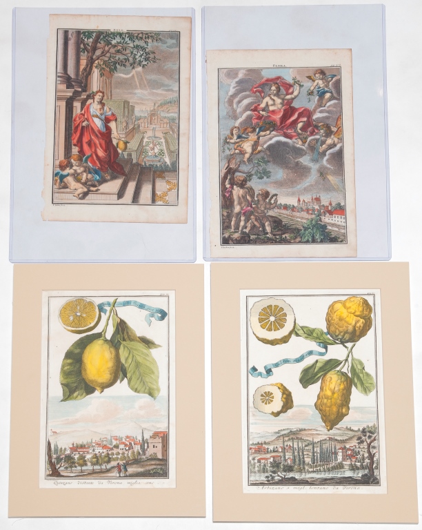 Appraisal: FOUR JOHANN CHRISTOPH VOLCKAMER PRINTS Germany - Hand colored engravings