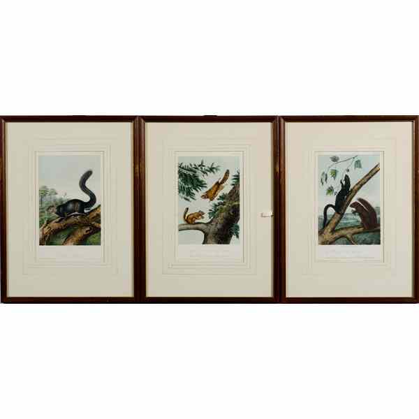 Appraisal: Later Audubon Prints Plus Owl Print by J T Bowen