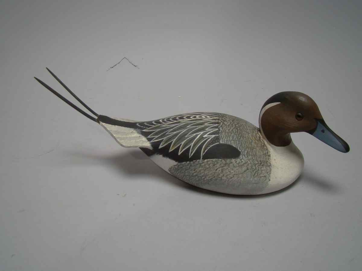 Appraisal: MINIATURE PINTAIL DRAKE Signature blurred but probably by William Cranmer