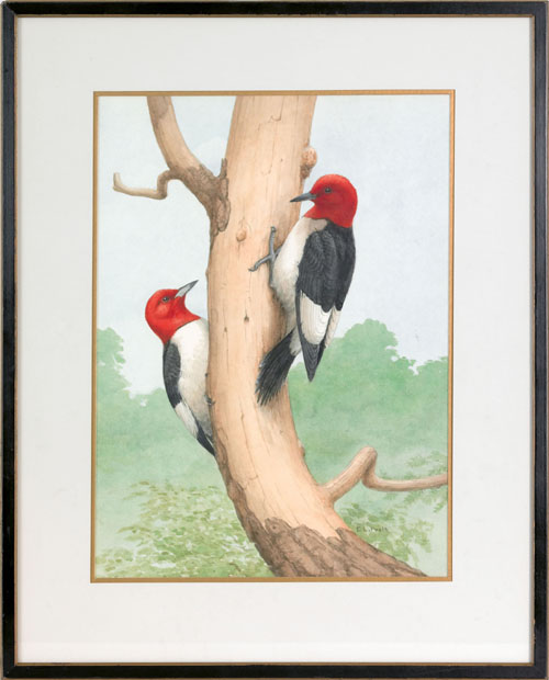 Appraisal: Earl Lincoln Poole American - watercolor of red headed woodpeckers