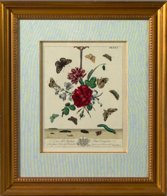 Appraisal: Moses Harris British - Botanical and Etymological Studies pair of