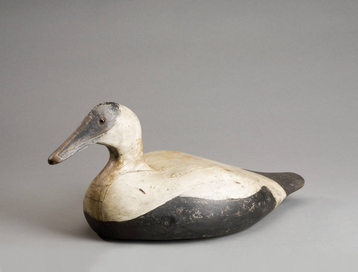 Appraisal: CARVED AND PAINTED EIDER DRAKE DECOY CIRCA Having a carved