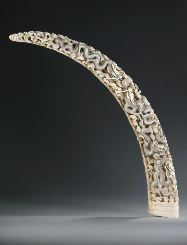 Appraisal: AN IVORY ELEPHANT TUSK hand carved in three dimensions with