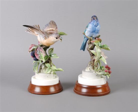 Appraisal: A Pair of Royal Worcester Dorothy Doughty Birds Indigo Buntings