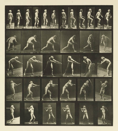 Appraisal: MUYBRIDGE EADWEARD - Self-portrait from Animal Locomotion Collotype x inches