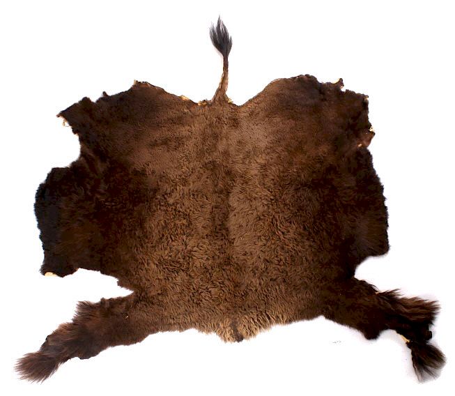 Appraisal: Montana Wild Trophy Buffalo Fur Hide Rug For your bidding