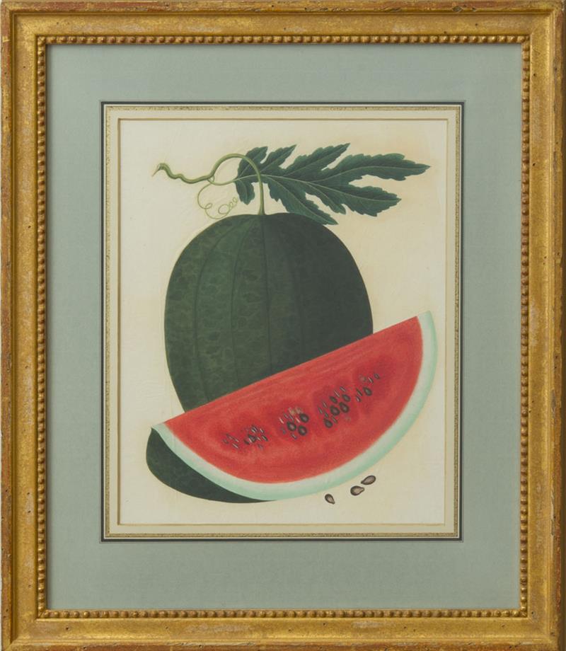 Appraisal: ANGLO-CHINESE SCHOOL WATERMELON PINEAPPLE GRAPEFRUIT POMELLO AND FINGER-CITRON Four watercolor