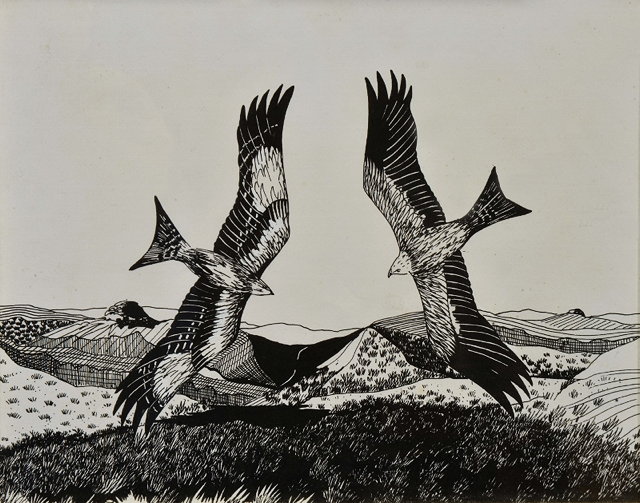 Appraisal: DEBORAH THRUPP TH CENTURY 'Red Kites' pen and ink drawing