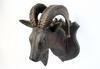 Appraisal: FOLK ART CARVING - Billy Goat Head with applied real