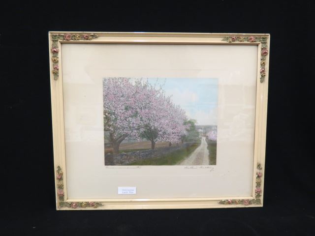 Appraisal: Wallace Nutting Print Commencement apple blossoms along a country road