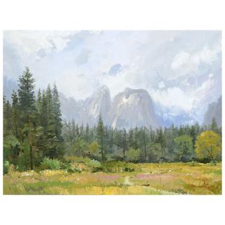 Appraisal: Thomas Kindade Yosemite Meadow oil on canvas board THOMAS KINKADE