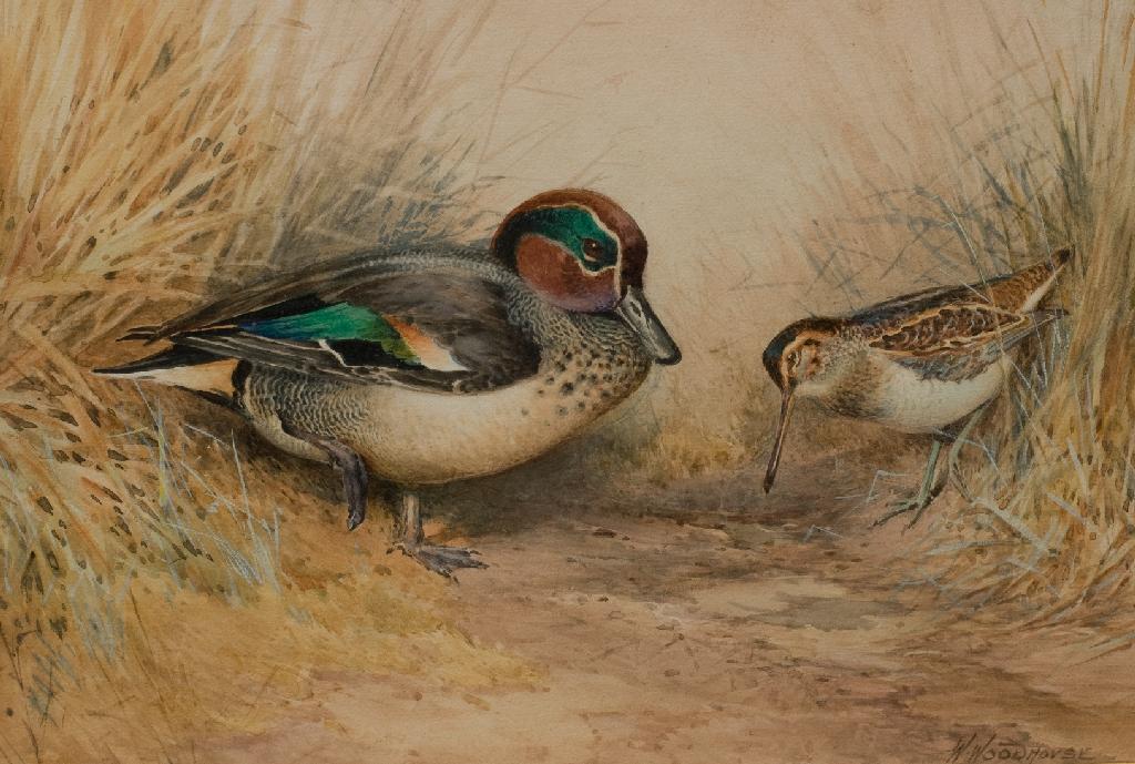 Appraisal: WILLIAM WOODHOUSE - TEAL AND A SNIPE IN THE REEDS