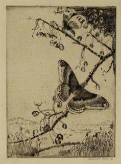 Appraisal: RHETT Antoinette Etching Butterflies Pencil signed lower right Antoinette Francesca